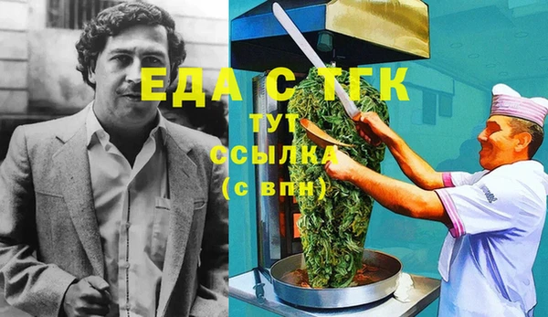 СК Алексин