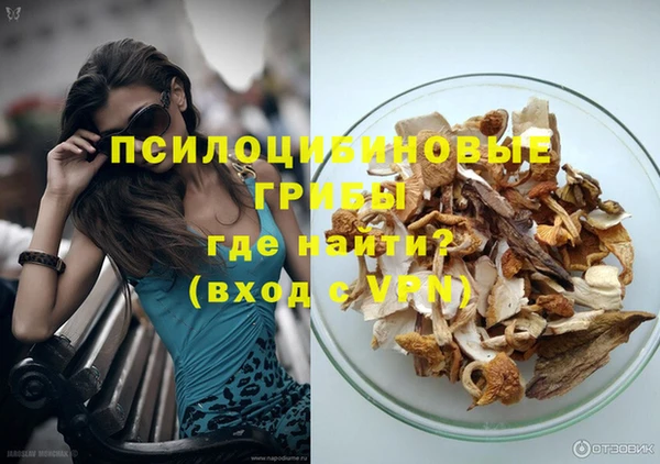 твердый Алексеевка