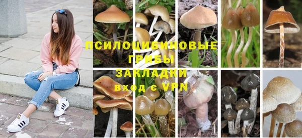твердый Алексеевка