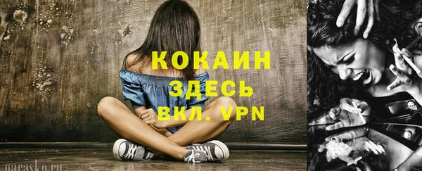 СК Алексин