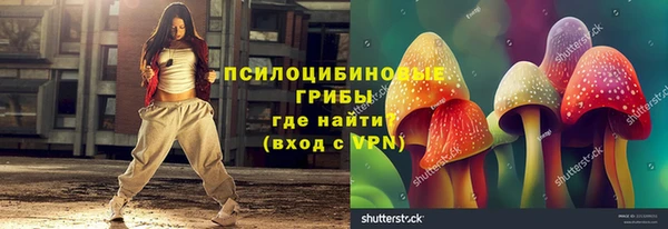 СК Алексин