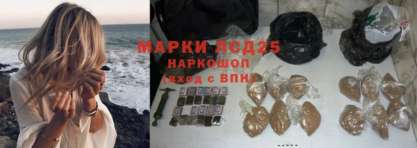 СК Алексин